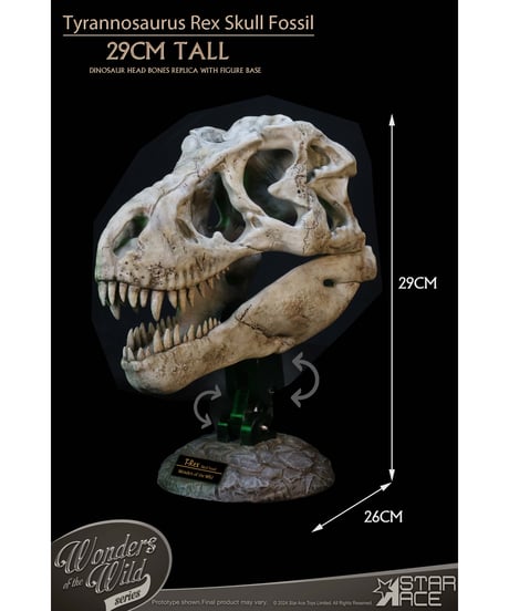 スターエーストイズ　ワンダーズ オブ ザ ワイルド ティラノサウルス・レックス スカル 化石　塗装済完成品
