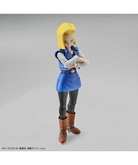 Figure-rise Standard 人造人間18号(リニューアル版)　ドラゴンボール