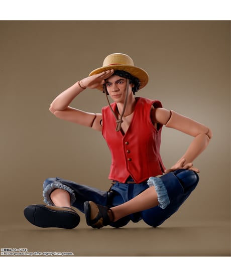 【送料無料】S.H.Figuarts モンキー・D・ルフィ/ロロノア・ゾロ（A Netflix Series: ONE PIECE）　［バンダイ］