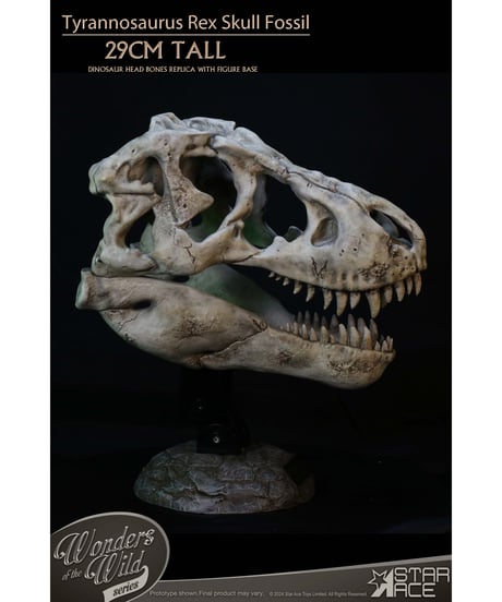 スターエーストイズ　ワンダーズ オブ ザ ワイルド ティラノサウルス・レックス スカル 化石　塗装済完成品