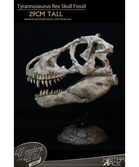 スターエーストイズ　ワンダーズ オブ ザ ワイルド ティラノサウルス・レックス スカル 化石　塗装済完成品