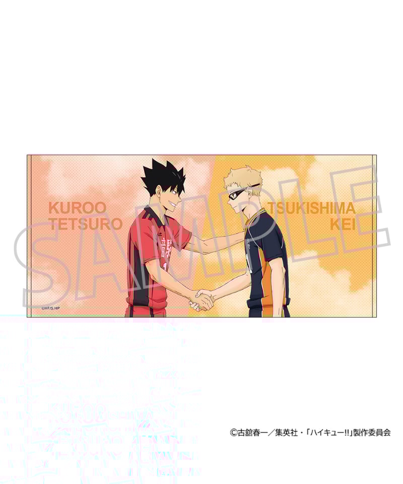 ハイキュー　特大タオル ハイキュー！！』フルカラーBIGタオル キービジュアル ＜ハイキュー