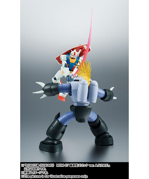 ROBOT魂 ＜SIDE MS＞ MSM-07 量産型ズゴック ver. A.N.I.M.E.