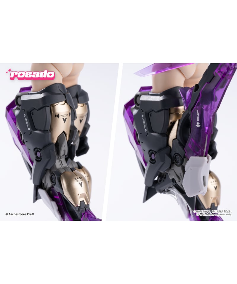 rosado Project RS-02 星花・ブラックアイリス 1/10 完成品アクションフ