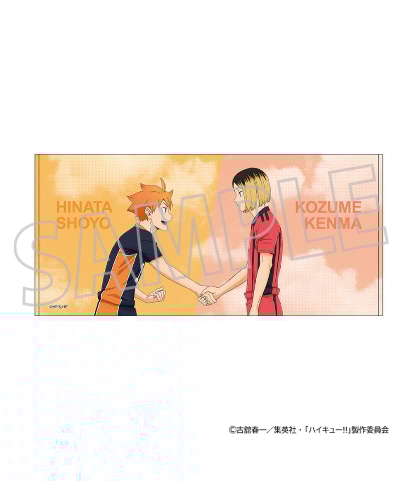 ハイキュー!! ビッグタオル 全5種 | WonderToys