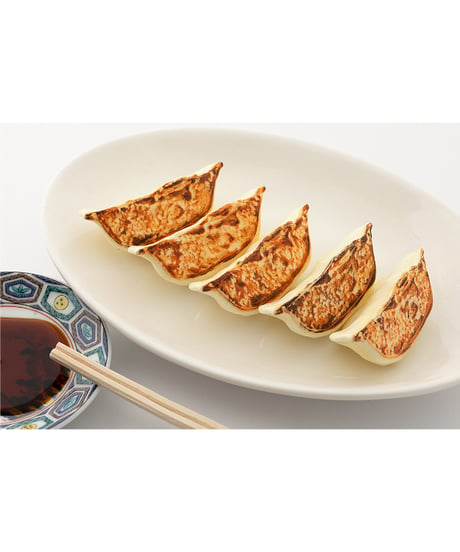 餃子プラモ 　1/1スケール　組立て式プラスチックモデル