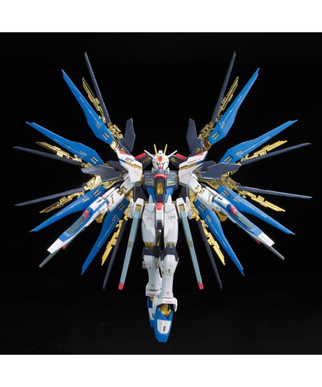 RG 1/144 ストライクフリーダムガンダム【機動戦士ガンダムSEED DESTINY】