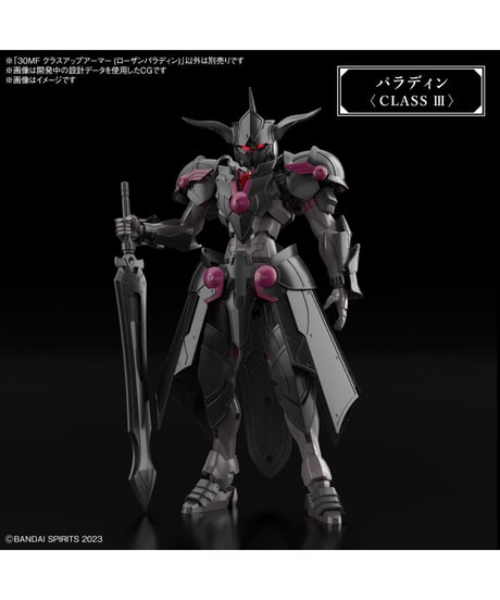 30MF クラスアップアーマー (ローザンパラディン)
