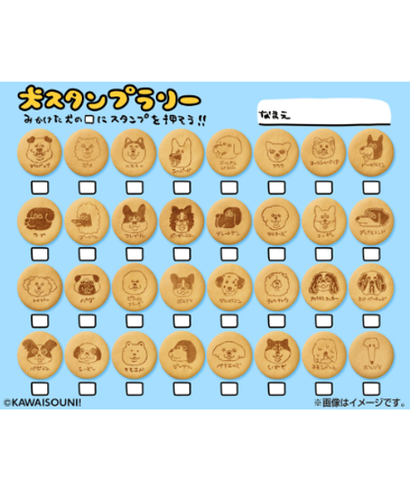 【予約】おぱんちゅうさぎとわんころマスコット ビスケットつき　10個入り1BOX　［バンダイ］