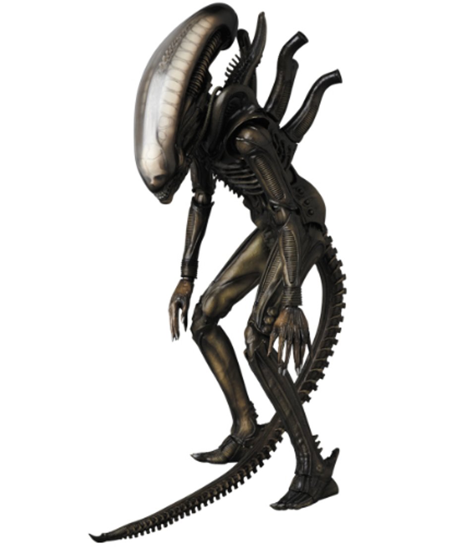 666a74a6c6500800311d44ad