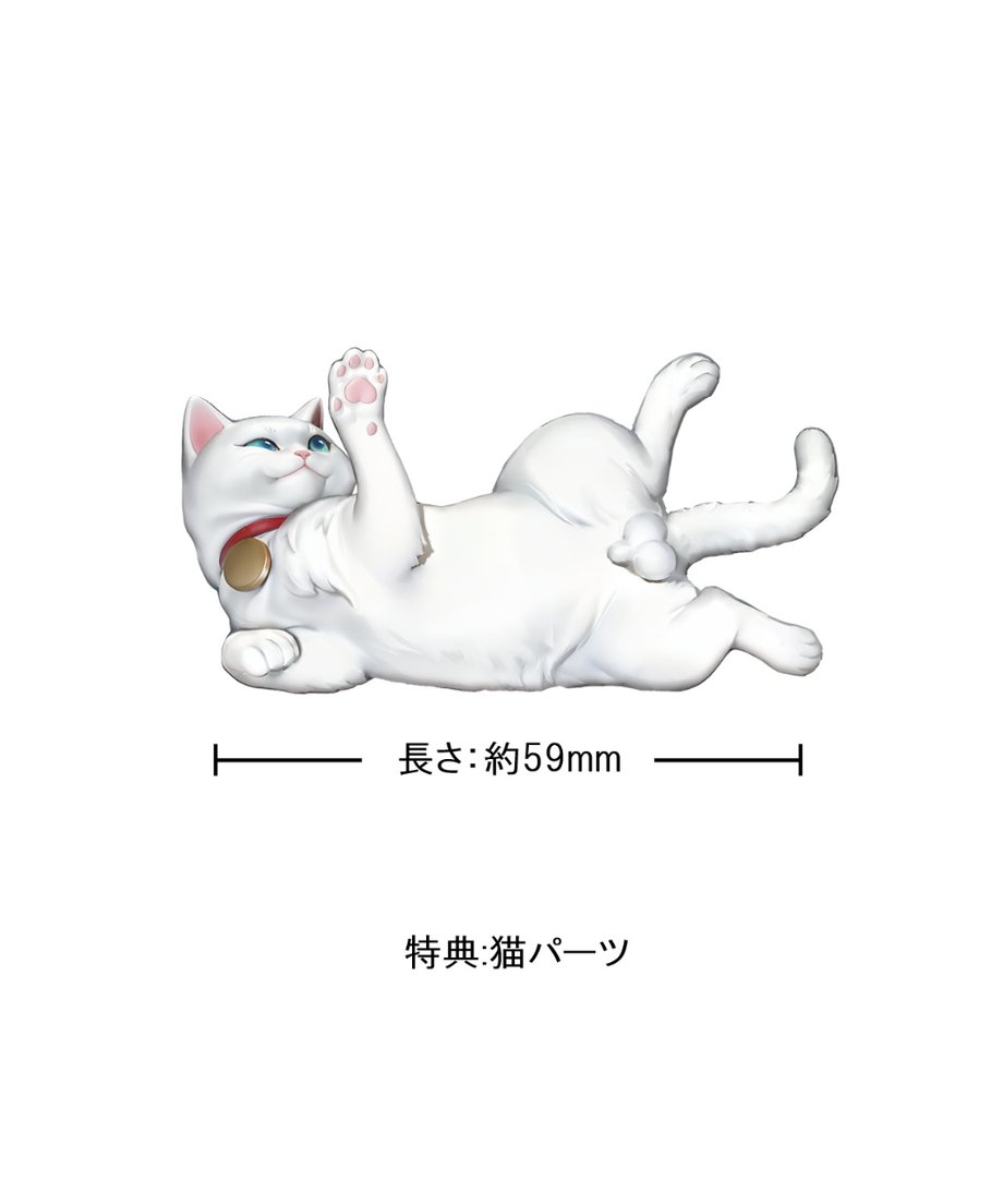 6812ed3c6909a52cb5f7f4f9