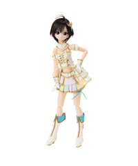 【予約】1／6ピュアニーモキャラクターシリーズNo．170 『アイドルマスター』菊地 真 　［アゾン］