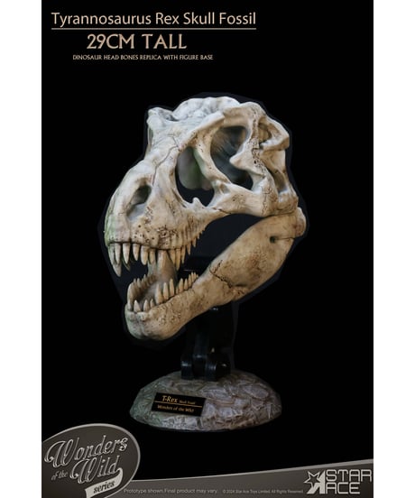 スターエーストイズ　ワンダーズ オブ ザ ワイルド ティラノサウルス・レックス スカル 化石　塗装済完成品