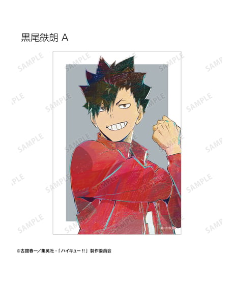 ハイキュー!!トレーディング Ani-Art 第5弾 ブロマイド　２４個入り１BOX