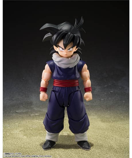 【予約】【送料無料】S.H.Figuarts 孫悟飯〈Z戦士〉（初回限定〈Z戦士〉集結台座A付属版）　ドラゴンボールZ　［バンダイ］【11月発売予定】