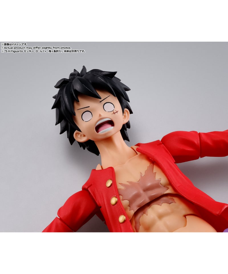 S.H.Figuarts 百獣のカイドウ(人獣型) | WonderToys