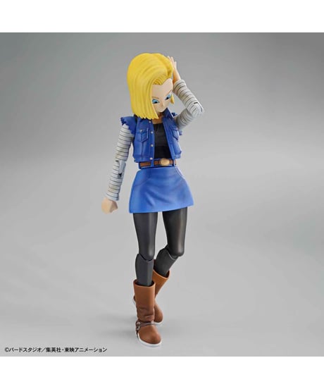 Figure-rise Standard 人造人間18号(リニューアル版)　ドラゴンボール