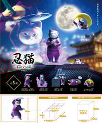 【予約】忍猫～忍法○○の術～　10個入り1BOX　[YELL]