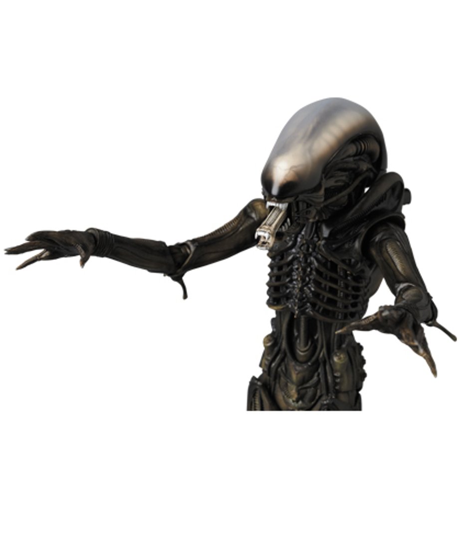 666a74a6c6500800311d44ad
