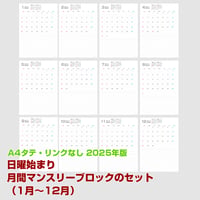 2025年版・日曜始まりの月間マンスリーブロックのセット（1月～12月）【タテ】【商品No.25_618st】