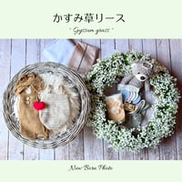ニューボーンフォトレンタルセット 【かすみ草リース】