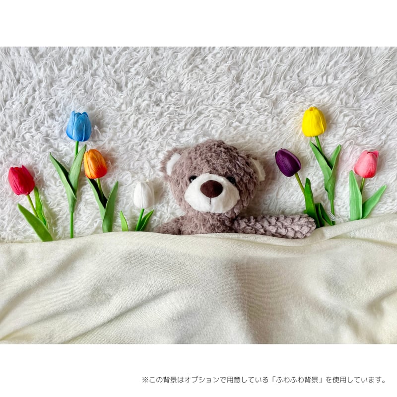 ニューボーンフォトレンタルセット【ぬいぐるみ・フラワーセット