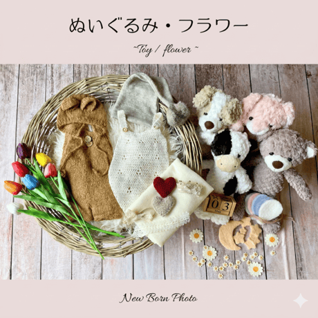SALE | ニューボーンフォトレンタル 100祝いセルフ撮影セット専門