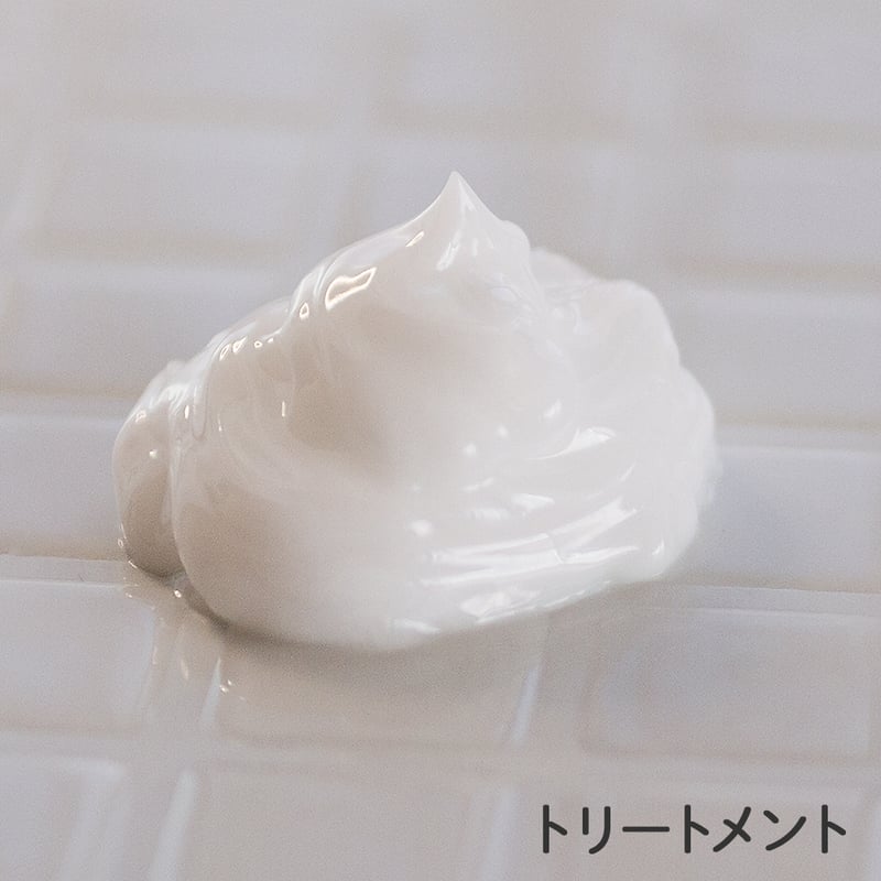 シャンプー500ml &洗い流さないトリートメント200ml ギフト