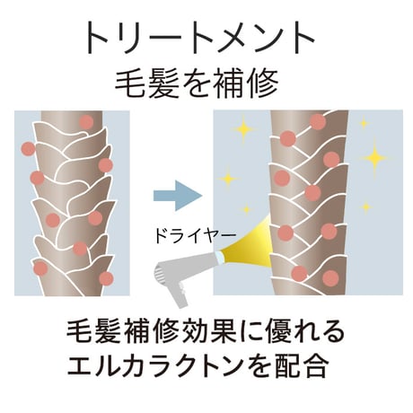 シャンプー500ml &洗い流さないトリートメント200ml　ギフトセット