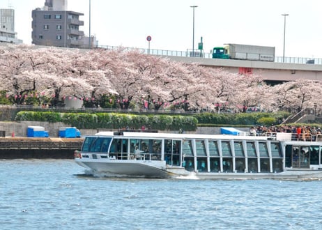 🌸Sakura & Cruise Tour on April 1st
