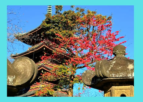 Ueno Tour