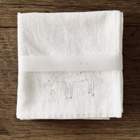 handkerchief / lumière