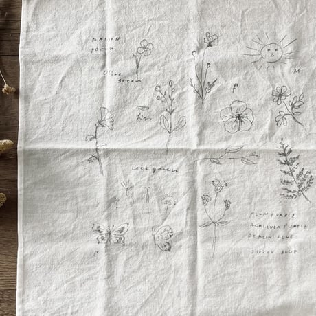 handkerchief / letter