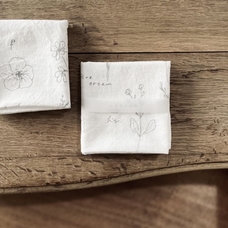 handkerchief / letter