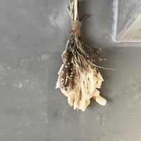dryflower_swag_1