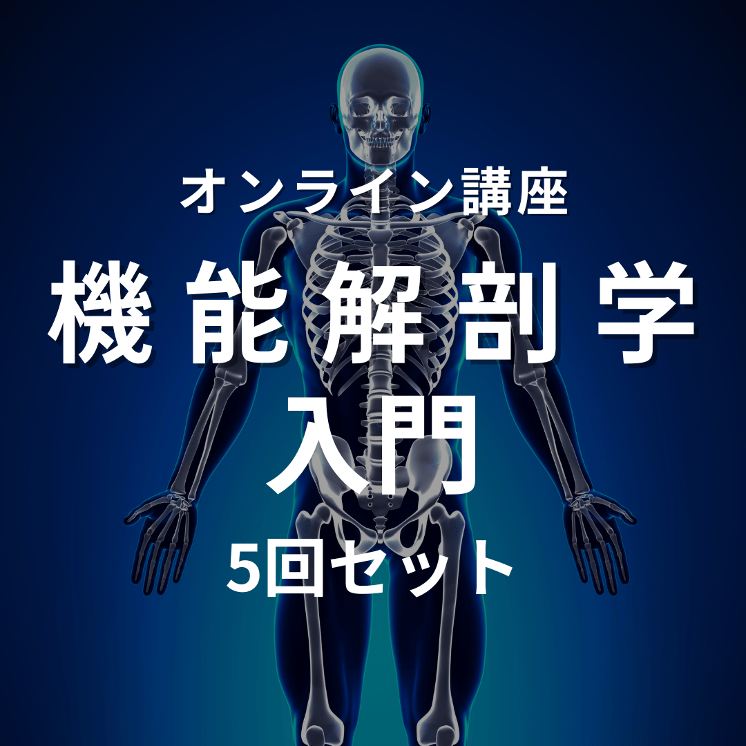 下肢から診る身体の機能構造 DVD 2枚組 71HNXuhb-5L.jpg