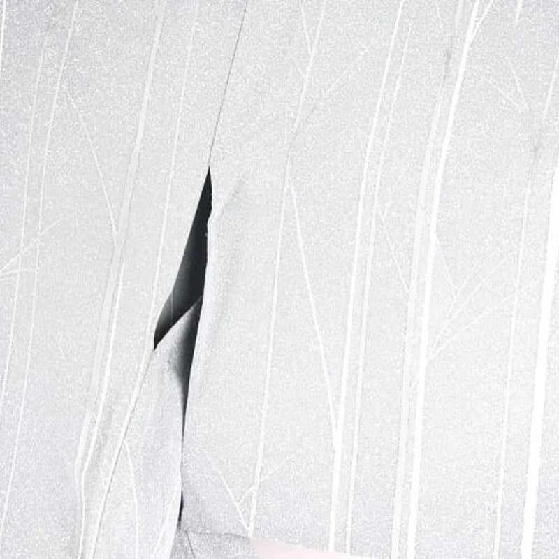 訪問着) 単衣 垂れている模様 パールトーン加工 | 和ノ藤リユース 