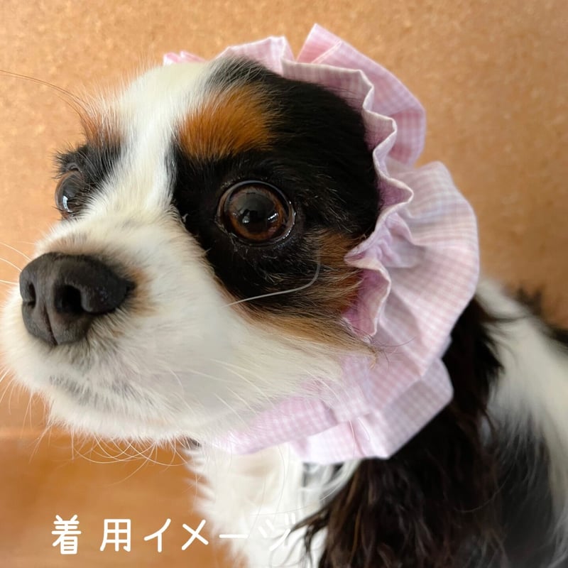 希少】カドヤ 牛革レザー 両面刺繍ワッペン 両足ファスナー チャップス 