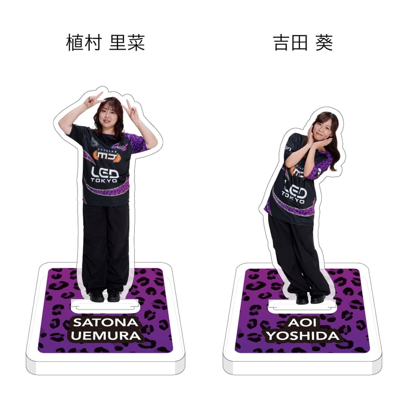 アクリルスタンド茅森ジーニアス各種【最高位戦フェス2026】 | 最高位