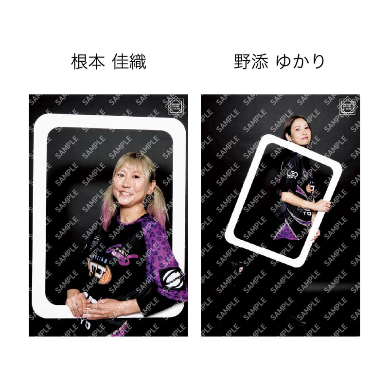 ポストカードチーム別セット各種【最高位戦フェス2026】 | 最高位戦