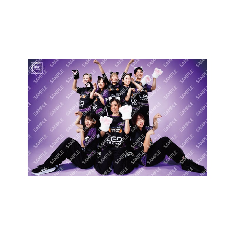 ポストカードチーム別セット各種【最高位戦フェス2026】 | 最高位戦