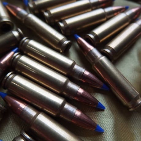 5.7x28mm FNH USA SS197SR 40 Gr. Hornady V-MAX Bullet 1個