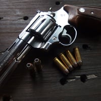 .44 S&W Special 180 Gr. Silvertip JHP Brass Winchester Case 6個組