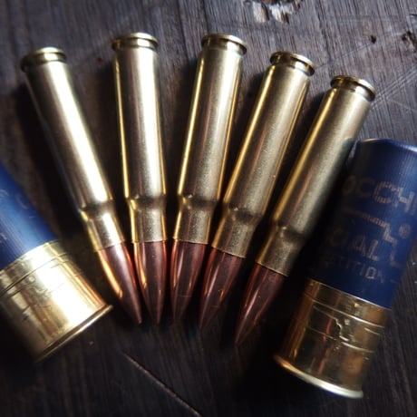 .338 FEDERAL LAPUA 250 Gr. FMJ 1個