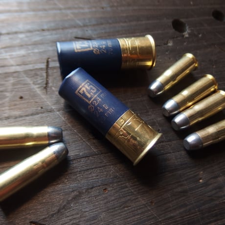 .38-40Winchester（10.17x33mmR）180 Gr. Star line case 1個