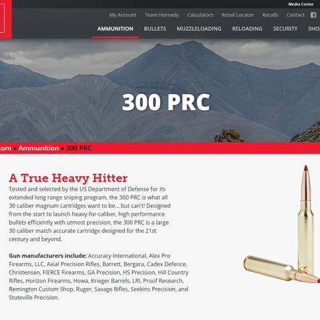 .300PRC SIERRA 165 Gr. game king Peterson Case 1個
