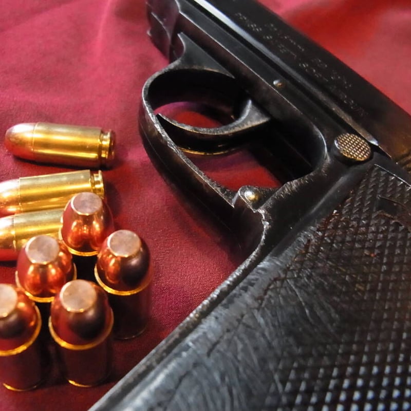 9mm POLICE(9x18mm) 100 Grain FNFMJ G.F.L. Case 9mm POLICE(9x18mm) 100 Grain FNFMJ G.F.L. Case