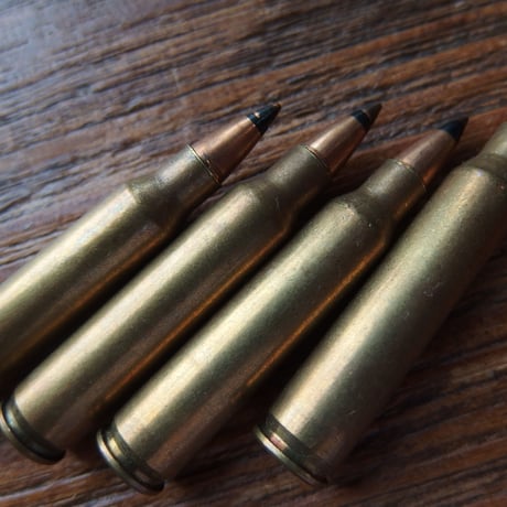 5.56x45mm LC8X Case AP 32Grain SS190 Blacktip 1個