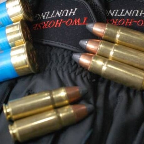 .458 SOCOM 300 Grain RNSP ☆-☆ Case1個