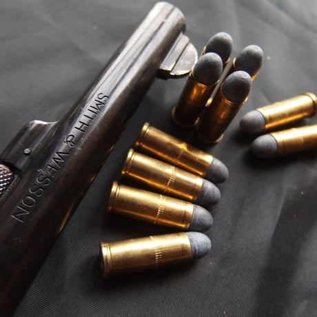 .32 S&W LONG RNCAST 90 Grain LAPUA Case 1個